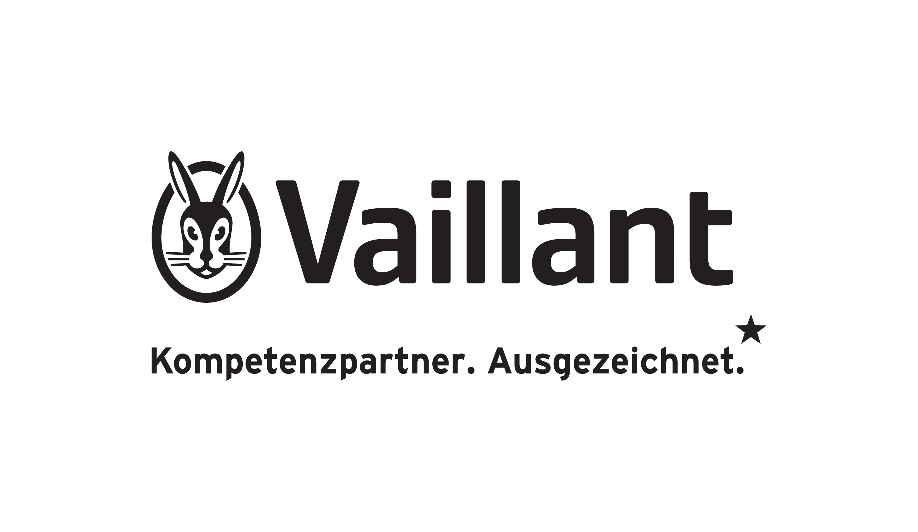 Zertifikat Vaillant Kompetenzpartner in Schwarz vor neutralen Hintergrund.